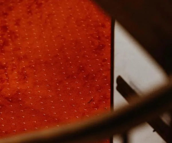 Waldhotel Seefeld Szálloda