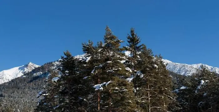 Waldhotel Seefeld 3* Seefeld in Tirol